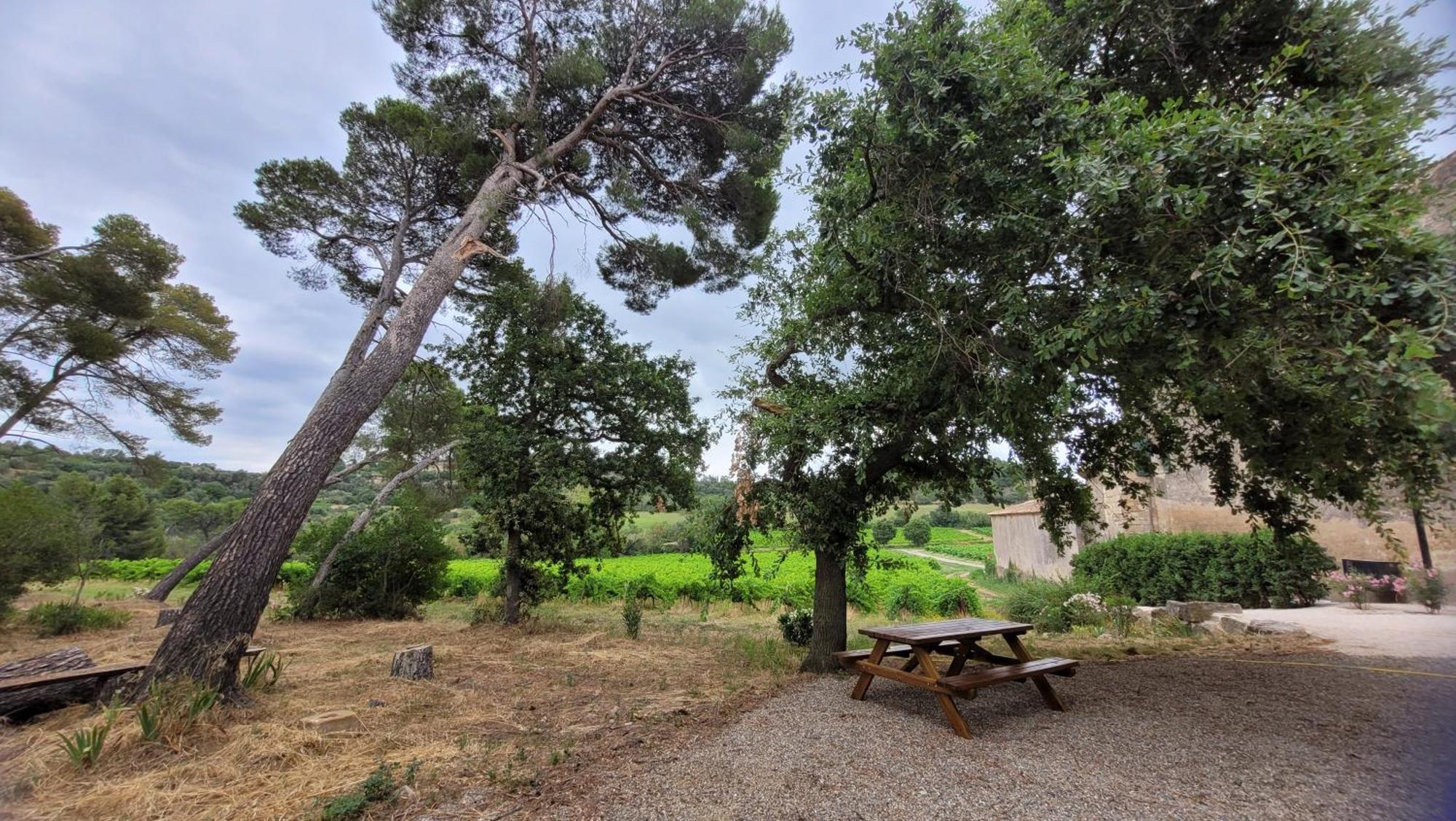 La Pinede, Logement Privatif Au Chateau Aumes 외부 사진